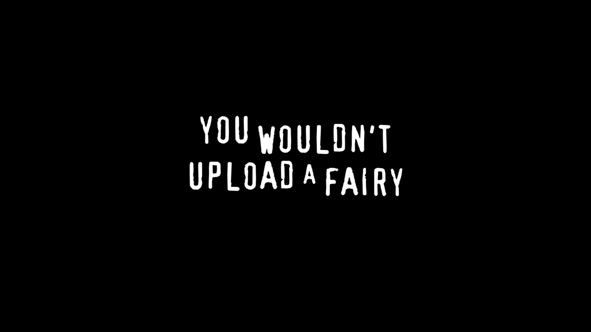 YOU WOULDN'T UPLOAD A FAIRY