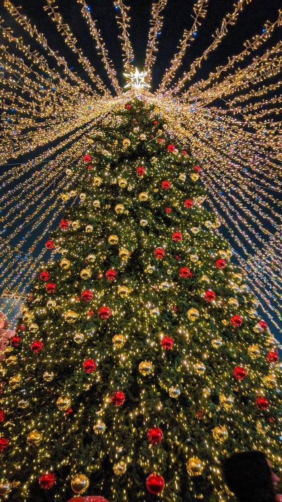 LHS_Commu's tweet photo. #LHS_CNY Christmas New Year หลังจบการแข่งขันกีฬาประจำปีของลีโอตันไปไม่นาน ภายในเมืองเริ่มตกแต่งตีมคริสต์มาสเพื่อต้อนรับเทศกาลสิ้นปี

(ผู้เล่นสามารถติด # พร้อมบรรยายการตกแต่งบ้าน/โรงเรียน/ห้องเรียน/หอใน/ทำขนม/อื่น ๆ ในตีมคริสต์มาสได้ตามอัธยาศัย *ดอคอีเว้นท์จะมาวันที่ 15/12/65*) https://t.co/b5RYwtFdKB