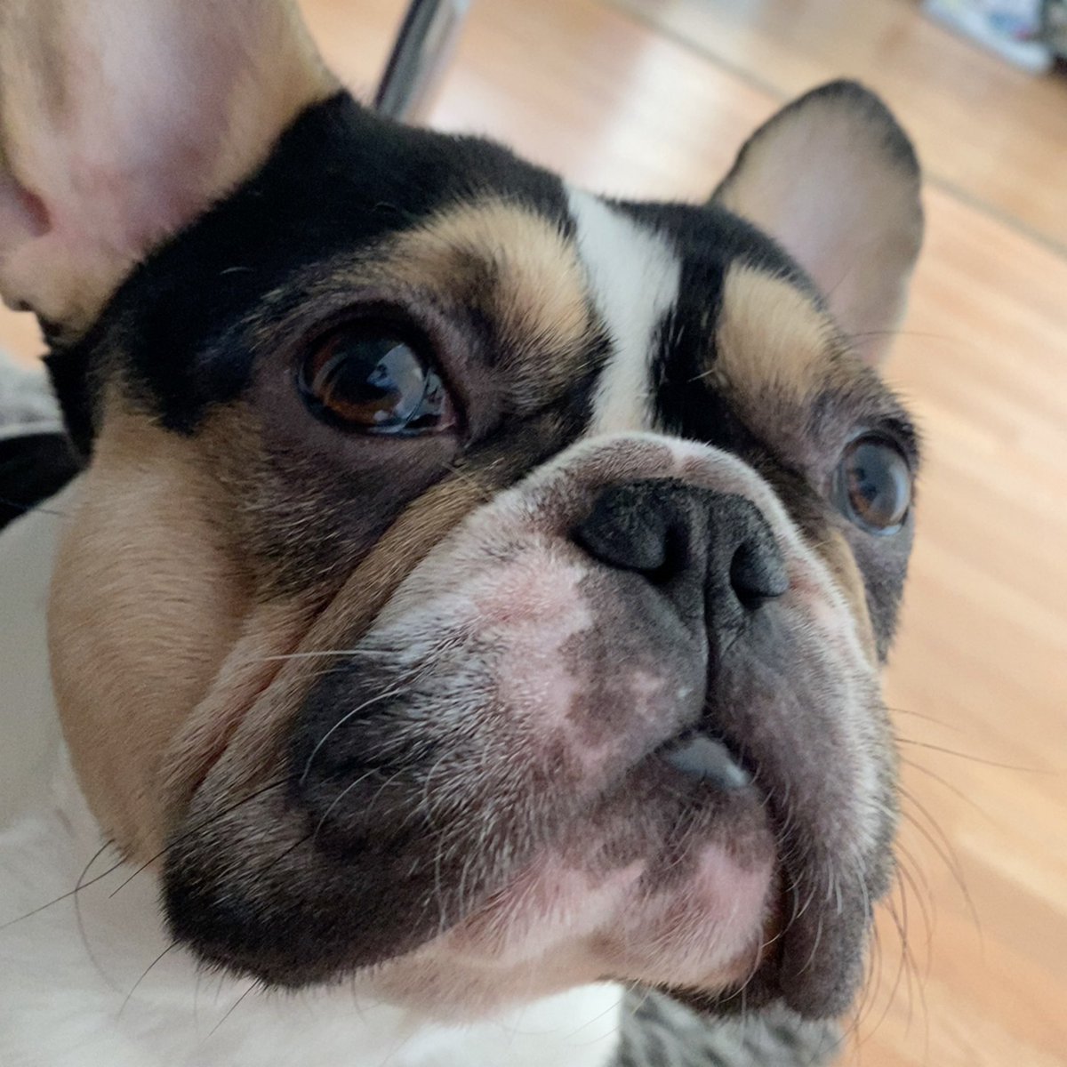 I just wanna 🚀 off