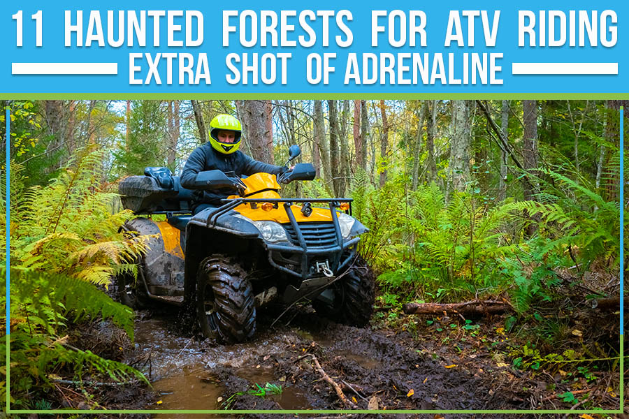 Sidebysidefury's tweet photo. 11 Haunted Forests For ATV Riding: Extra Shot Of Adrenaline https://t.co/1yHiVCj9Wd https://t.co/QliW5QyxoK