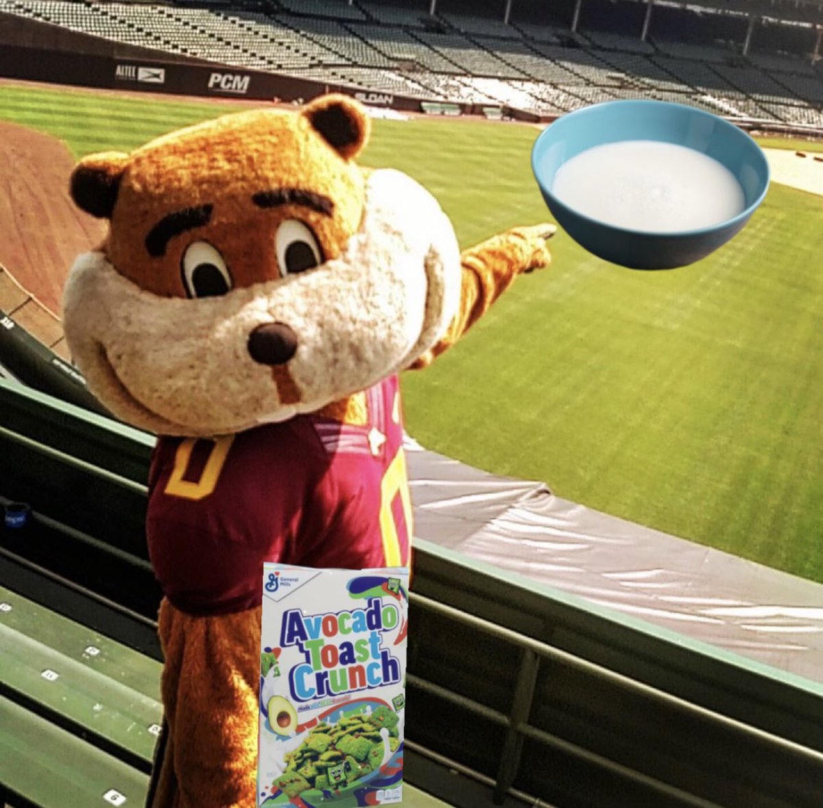 UWBuckyBadger's tweet photo. @GoldytheGopher 🚩🚩🚩@GoldytheGopher pours milk in the bowl and THEN adds the cereal 🤮 #cerealfirst #figureitout #Axeweek https://t.co/cvgDABGATl