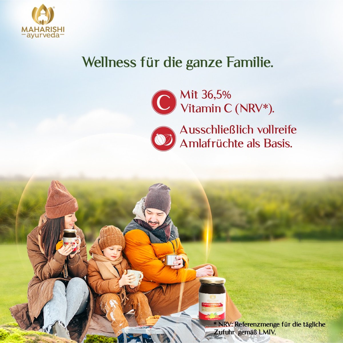 AyurvedaEurope's tweet photo. Hast du schon mal von Chyavanprash gehört? #Chyavanprash ist ein traditionelles, ayurvedisches #Fruchtmus, dessen wichtigster Bestandteil die #indische #Stachelbeere ist. ➡️ https://t.co/S7wKUI8aTd #maharishiayurvedaeurope #ayurveda4you https://t.co/hPE8I8wlb1