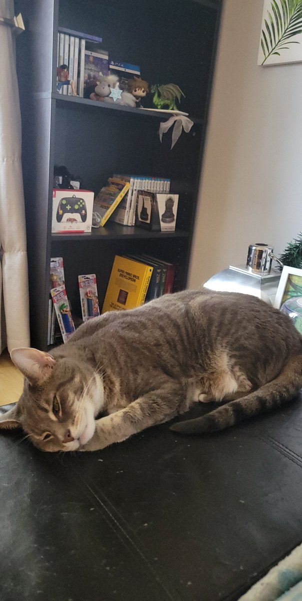 Sammykinnz's tweet photo. This is my Morty 🥰 https://t.co/ZR983YSdnr