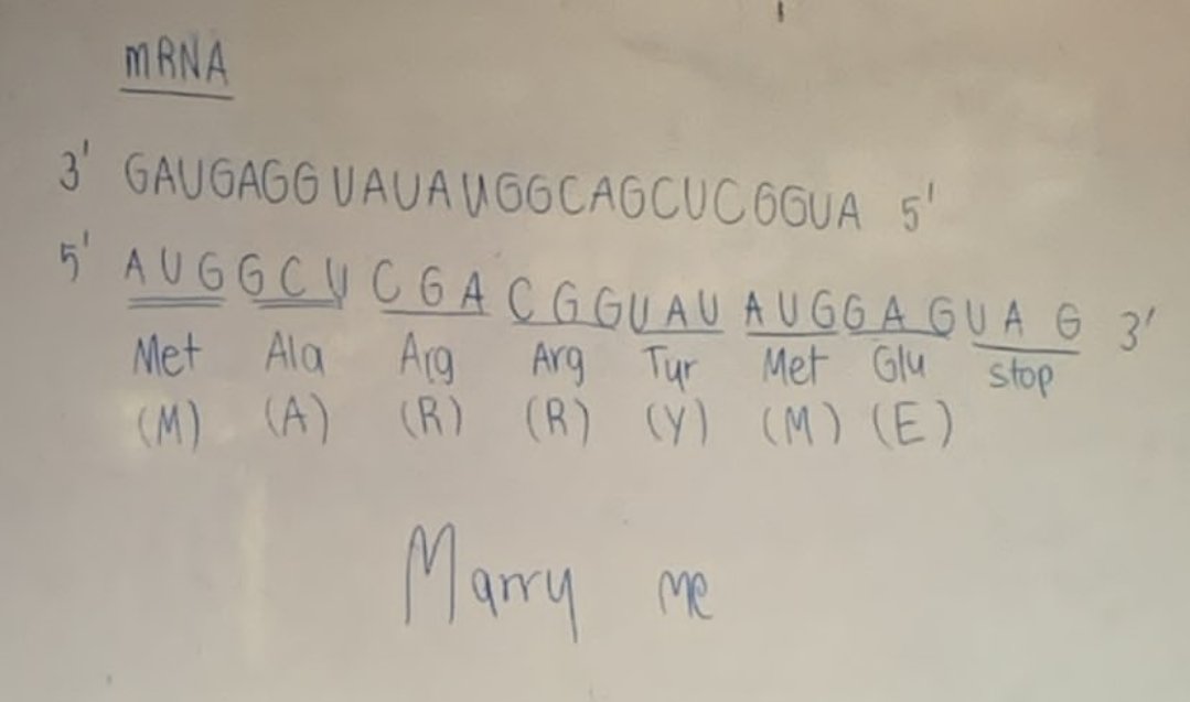 ขอเเต่งงานฉบับเด็กวิทย์คณิต