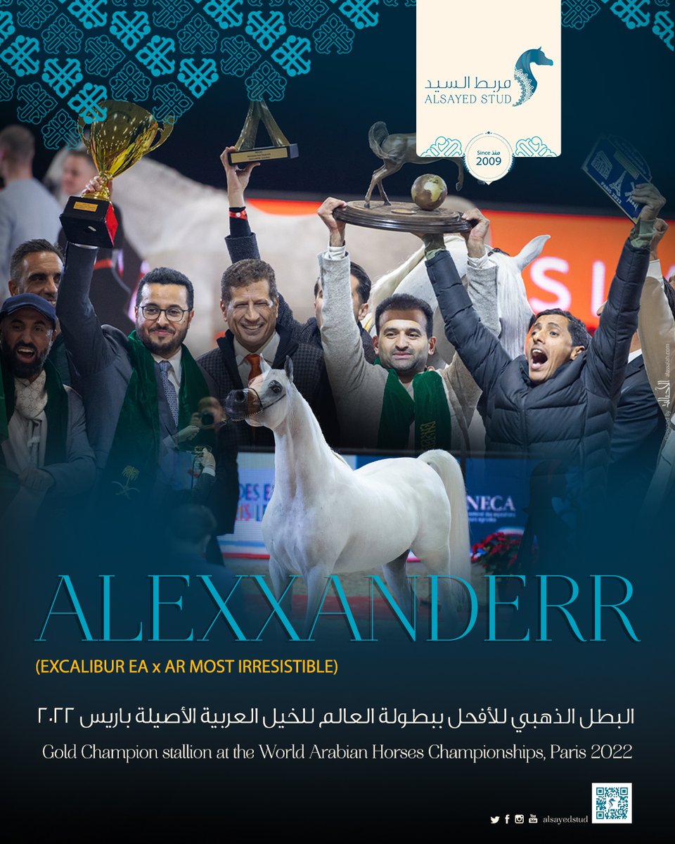 AlSayed Stud | مربط السيد tweet media