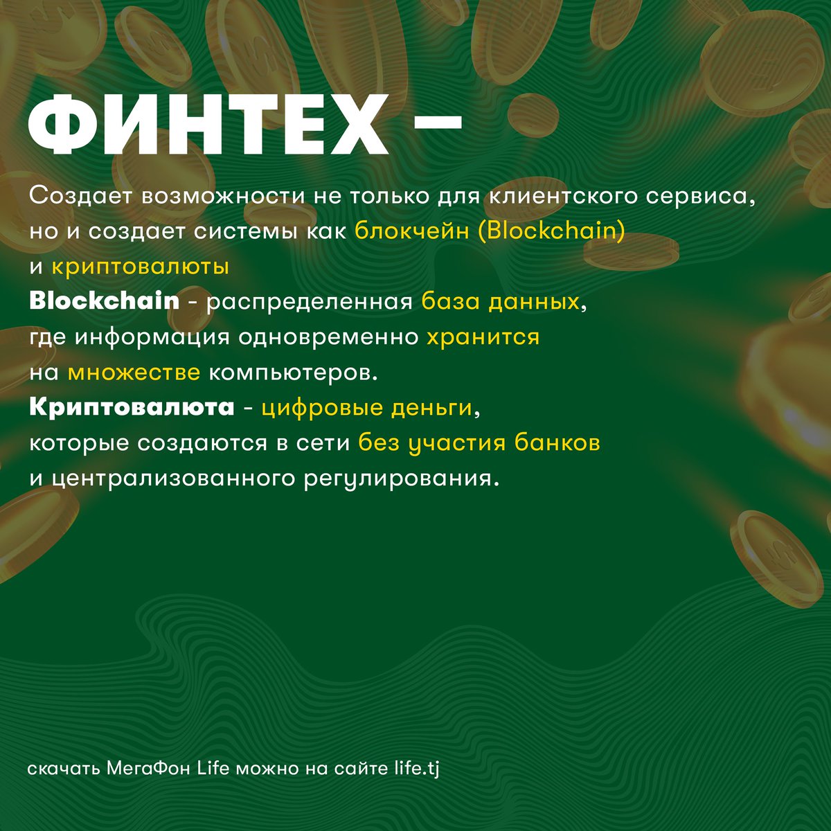 MegaFonTJ's tweet photo. Финансовые технологии уже давно вошли в нашу жизнь и стараются ее облегчить.
Трактовать финтех, можно по-разному, но объединяющим может быть то, что это предоставление финансовых услуг с использованием инновационных технологий.
⠀
Читай в карточках полезности о финтехе https://t.co/KYxGrVjjt6