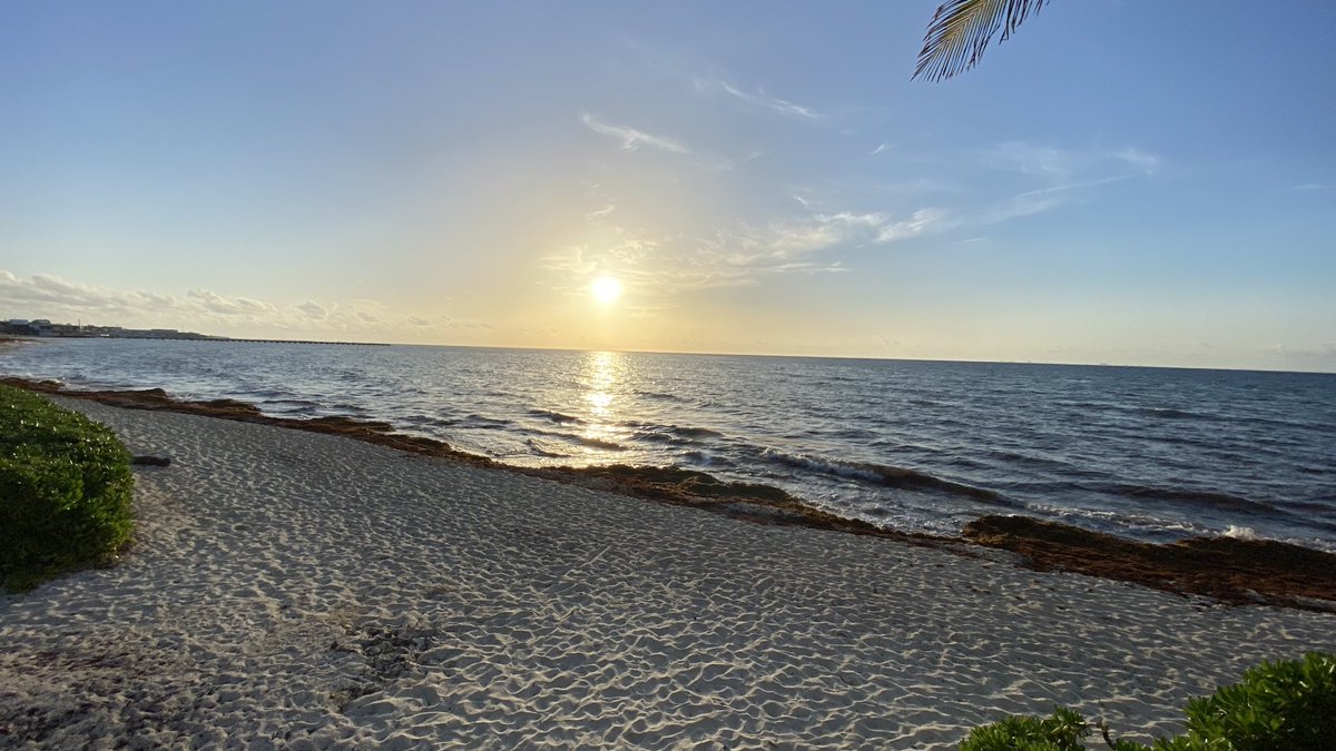 The true value of #TwitterSpaces lies not in extending your network but in human connections, which are far more valuable for your soul and well-being. 

Taking a moment to appreciate all my spaces friends.  Have a great Thanksgiving holiday. ❤️🙏🕊️✌️