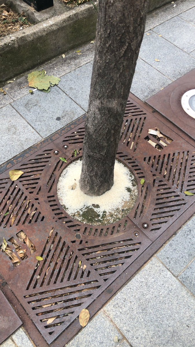 도시노동자 tweet media