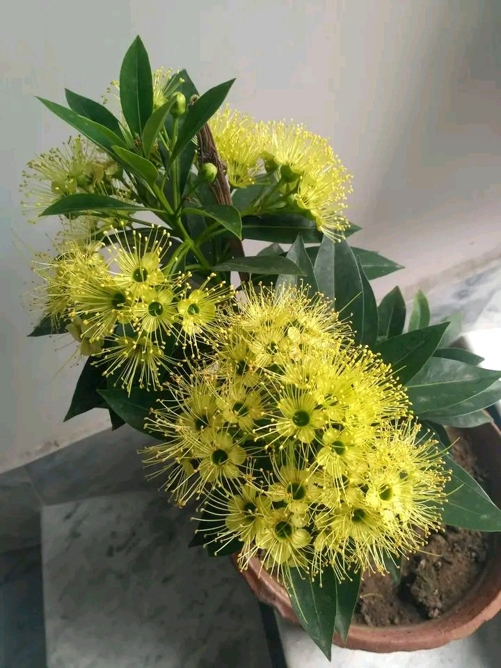 Bijoy176's tweet photo. ঘরের সুখ https://t.co/CPtkCcPgyn