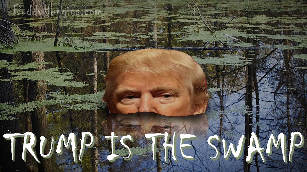 <a href="/KariLake/">Kari Lake</a> - Allen Weisselberg - felon.

- Steve Bannon - felon.

- Roger Stone - felon.

- Paul Manafort - felon.

- Mike Flynn - felon.

- George Papadopoulos  - felon.

- Rick Gates - felon.

- Michael Cohen - felon. 

- Donald Trump - Soon to be convicted felon  

"All the best people"