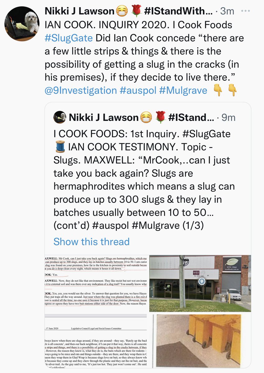 Commoncents21's tweet photo. @mannixbrian @DanielAndrewsMP So your mate Ian Cook said in the 2020 Parliamentary Inquiry that it was a possibility that slugs could live in the strips and things they had in their kitchen. Supporting a LIAR Brian? #auspol #Mulgrave Integrity? 👇 https://t.co/FLcpDSFV50