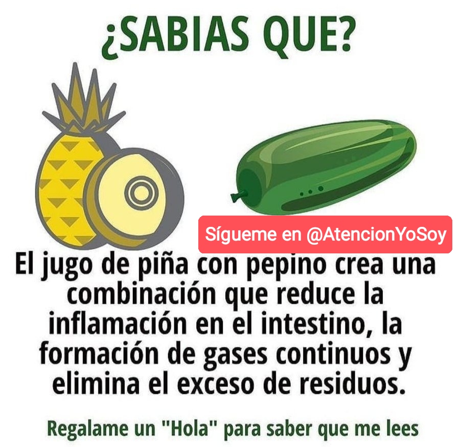 AtencionYoSoy's tweet photo. 🙏✨💫🌞Tip Saludable🌞💫✨🙏

Jugo de Piña con pepino y sus beneficios.

*Regálame un Hola si me lees* https://t.co/k684QL7dmR