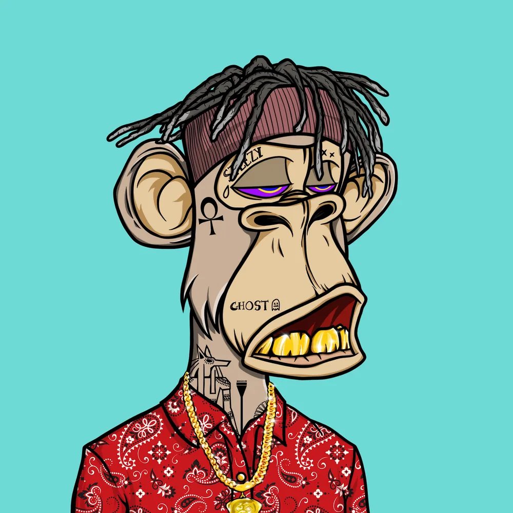 Wicked Bone Club tweet media