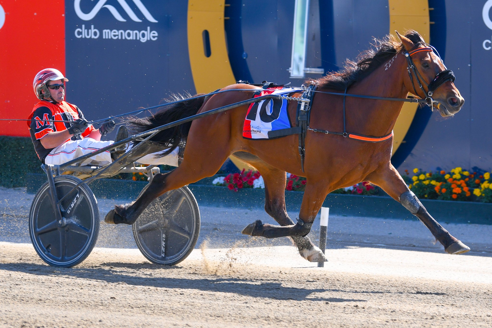 Racing at Club Menangle Trackside on Twitter "The lucky_lodge