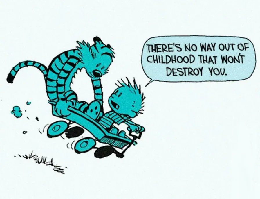 LOL #CalvinandHobbes