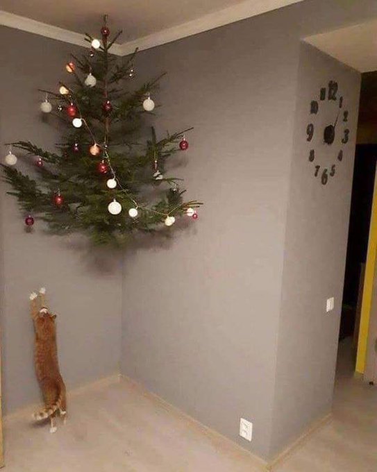 Not this year.. 😂🎄 https://t.co/S669aV8sZ9<a href="/tag/newprofilepic"class="tags"><span>#newprofilepic</span></a>