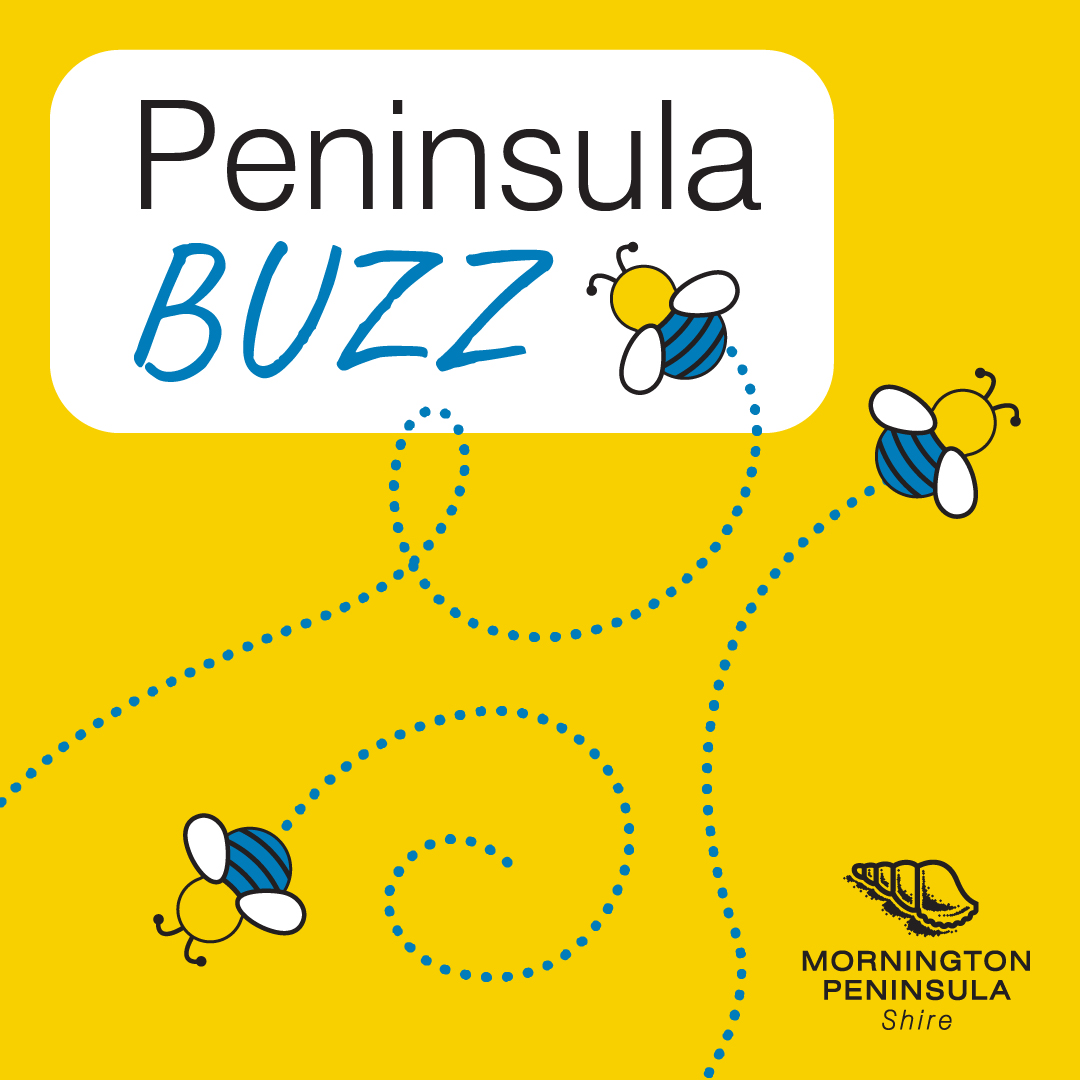 Do you like to bee in the know?! 🐝 Peninsula Buzz is our monthly e-newsletter full of our latest community news! Check it out here today - bit.ly/3Aym7Wx OR To receive it every month, visit: bit.ly/3ztdGu7 #OurPeninsula #MornPenTogether #PeninsulaBuzz