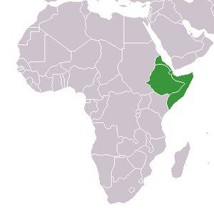 Ethiocracy's tweet photo. I think #Eritrea, #Ethiopia, #Sudan, #Somalia should form a military alliance just like NATO.

We can call it HOASA (Horn Of Africa Strategic Alliance)

"An attack on one is an attack on all"

That's the only way to stop Western bullying !! https://t.co/4J8soW2qM3