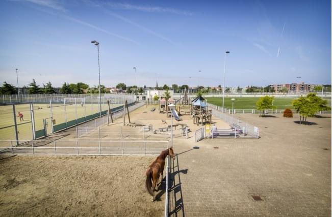 Wist je dat je het illegaal afsteken van vuurwerk bij de politie kunt melden? Ga naar 👉 ap.lc/c9aCs en vul het formulier in. Segbroek heeft verder een aantal vuurwerkvrijezones:

📍De Verademing 
📍Bosjes Van Poot 
📍Haga Ziekenhuis
📍Stadsboerderij Gagelhoeve