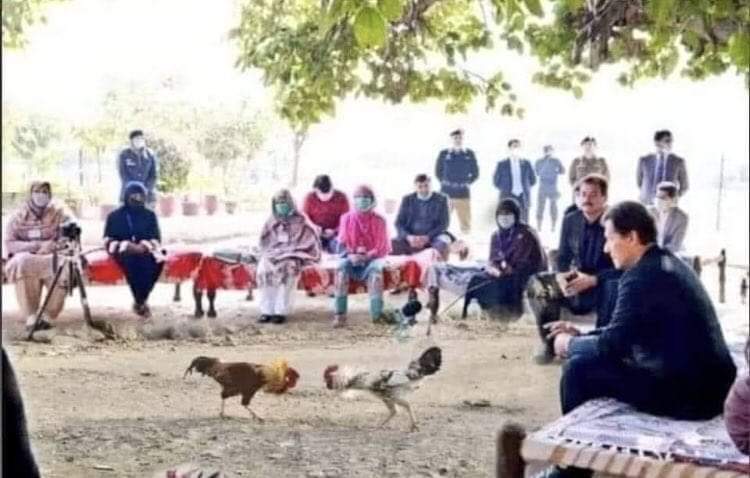 Ij_ijaz45's tweet photo. Current situation 😉
#bajwa_leaks Vs #corruptPDM
@RehanZeb21 https://t.co/IzghZkyXBX
