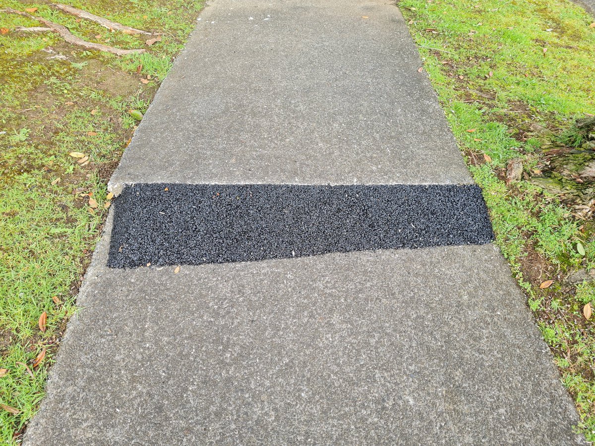 david_hopkins1's tweet image. Footpath hazard repaired!
Within 24 hours. 
Thank you. 
Don&apos;t know whether it was locals or Council but its much safer for people now.
Photo shows hotmix asphalt laid into small ramp.
#PedestrianSafety  
#ReportProblems
#CivicAdvocacy