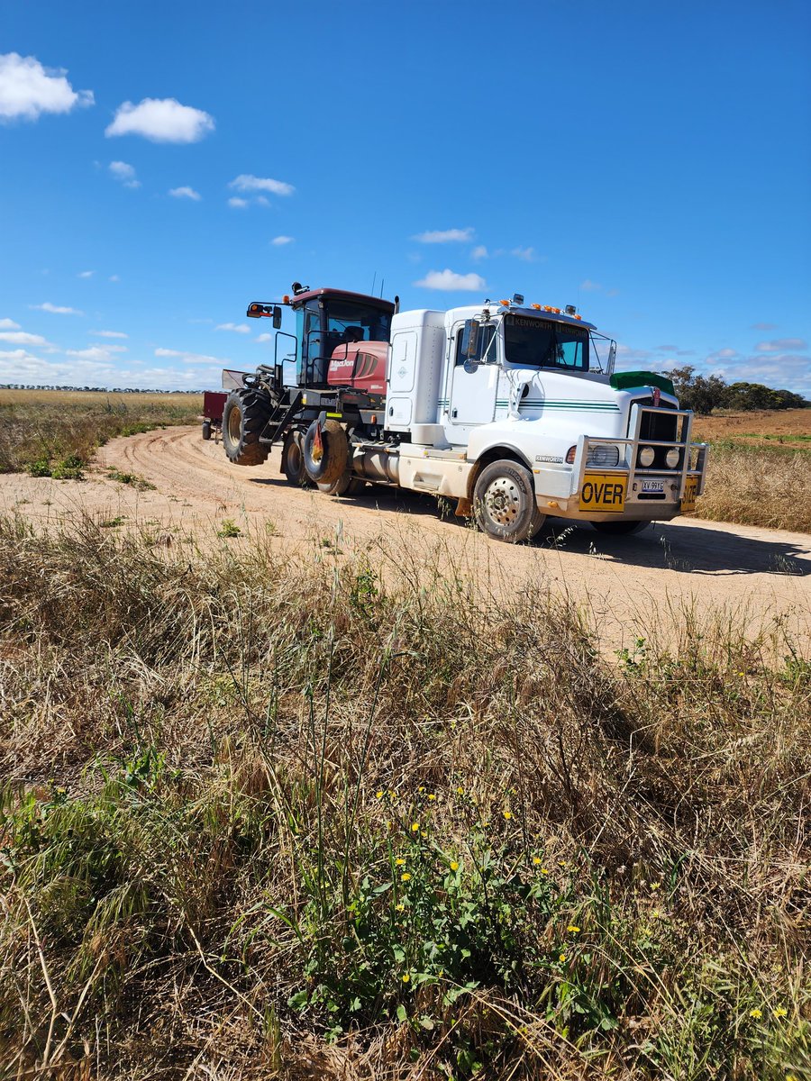 Derek de Stacpoole tweet media