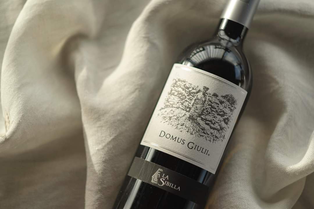 ✨NEW LOOK✨
Il Domus Giulii cambia look! 
..macerato di Falanghina Campi Flegrei.Porteremo la 2015 al Mercato dei Vini a Piacenza! #fivi
#falanghinacampiflegrei #macerato #italianwine #bacoli #crunadelago #campiflegrei #withewine #lasibillasas #cantinalasibilla #vignamadre