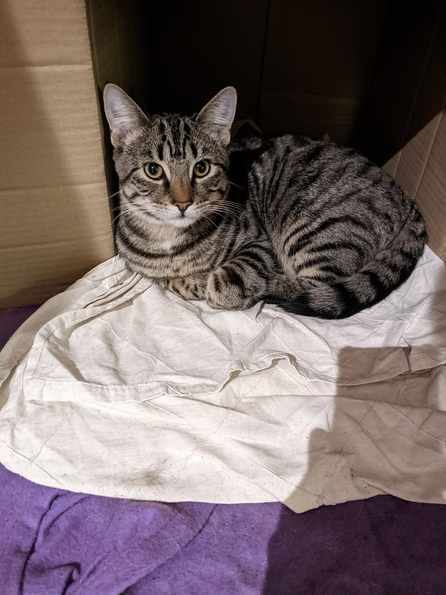 Lou Nicholls tweet media