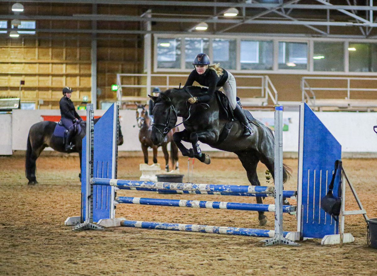 Perjantaihin asti aikaa hakea ensi vuonna alkaviin koulutuksiin 🐎

Hae nyt huippukoulutuksiin Suomen monipuolisimpaan Hevosopistoon! 💎
Katso alkavat koulutukset 👇
🌍 hevosopisto.fi/ajankohtaiset-…

Kuvassa opiskelijamme ja Ypäjä Perttu 🐴