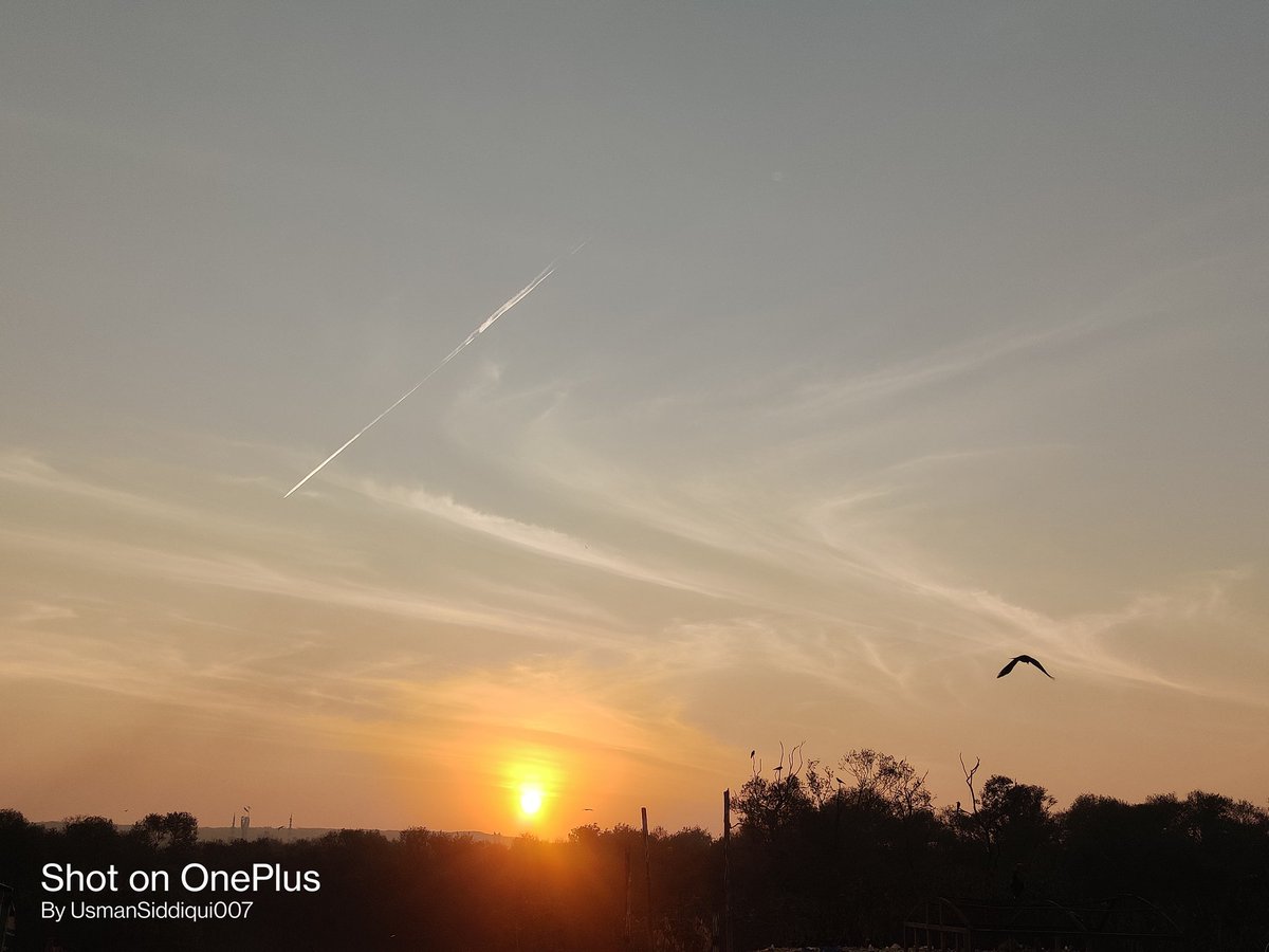 #sunrisephotography #ShotOnOneplus #ShotOnOnePlus7T #NaturePhotography #Mumbai @OnePlus_IN