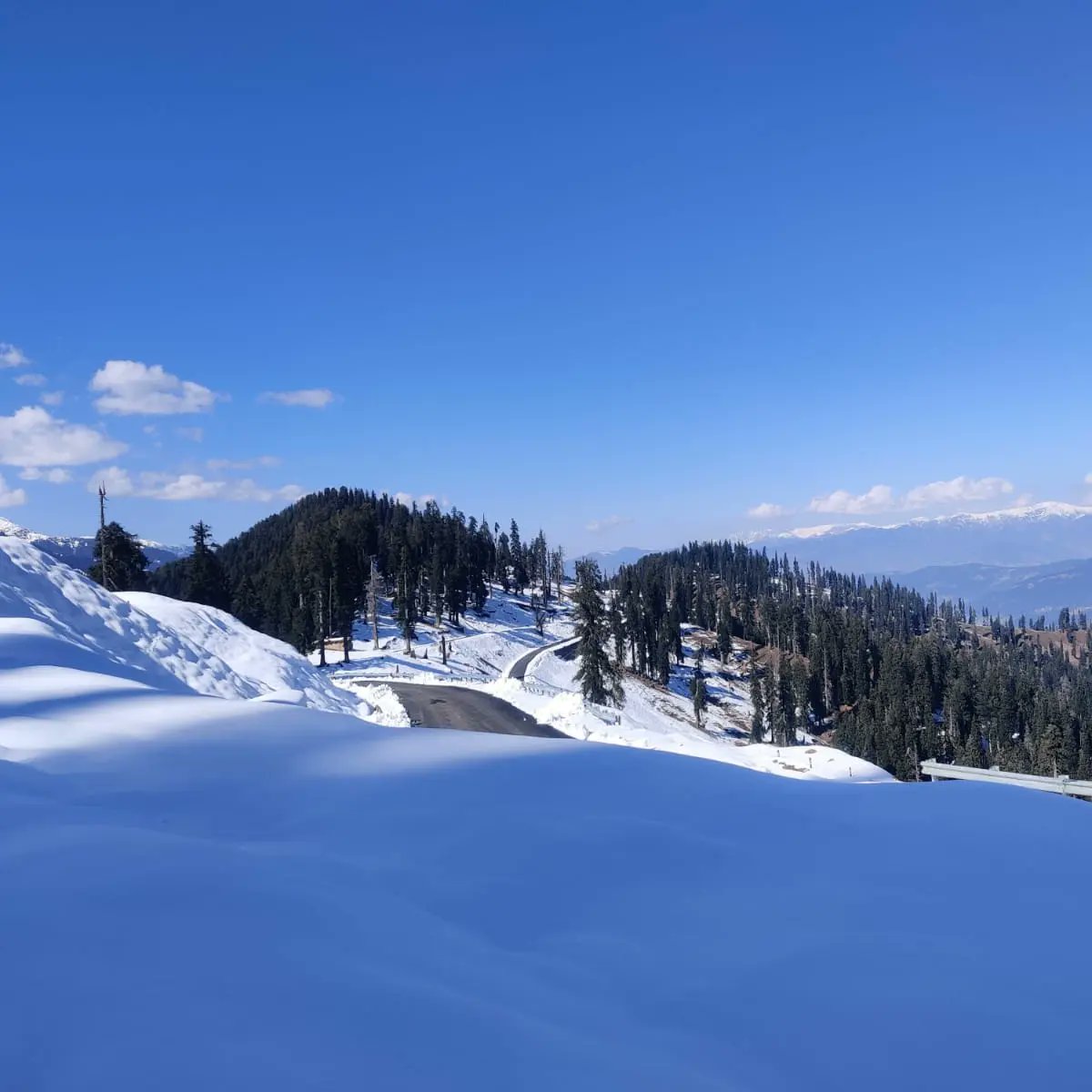 Sagar Wahi tweet media