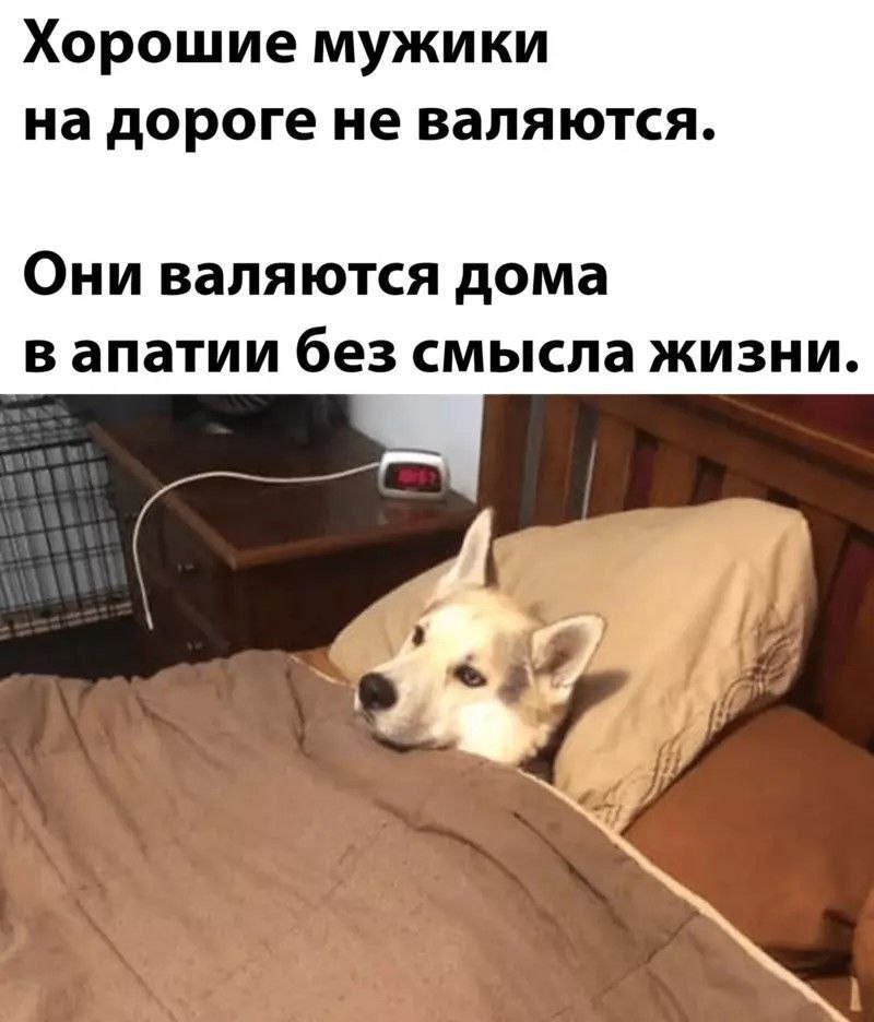 Vix1836's tweet photo. Хехе  однако)) https://t.co/vpPJ8jgwCL