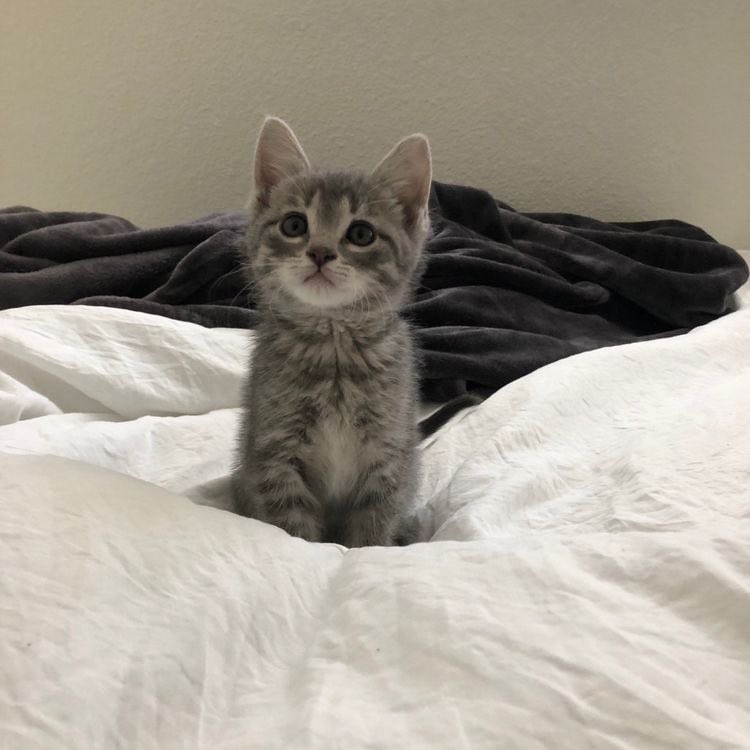 isaacfvke's tweet image. bg con derek che mi aspetta a casa