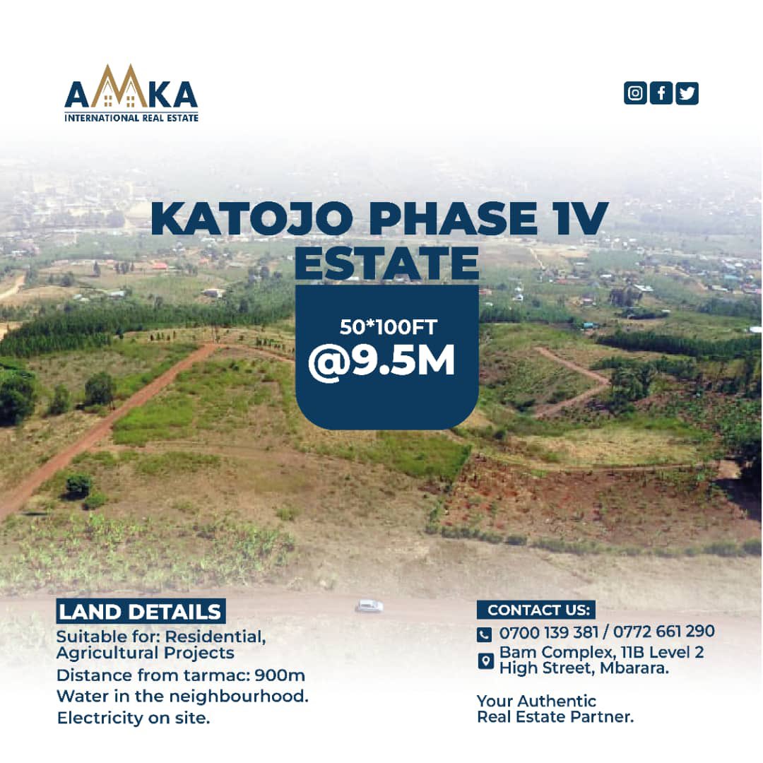 AMKA International Real Estate tweet media