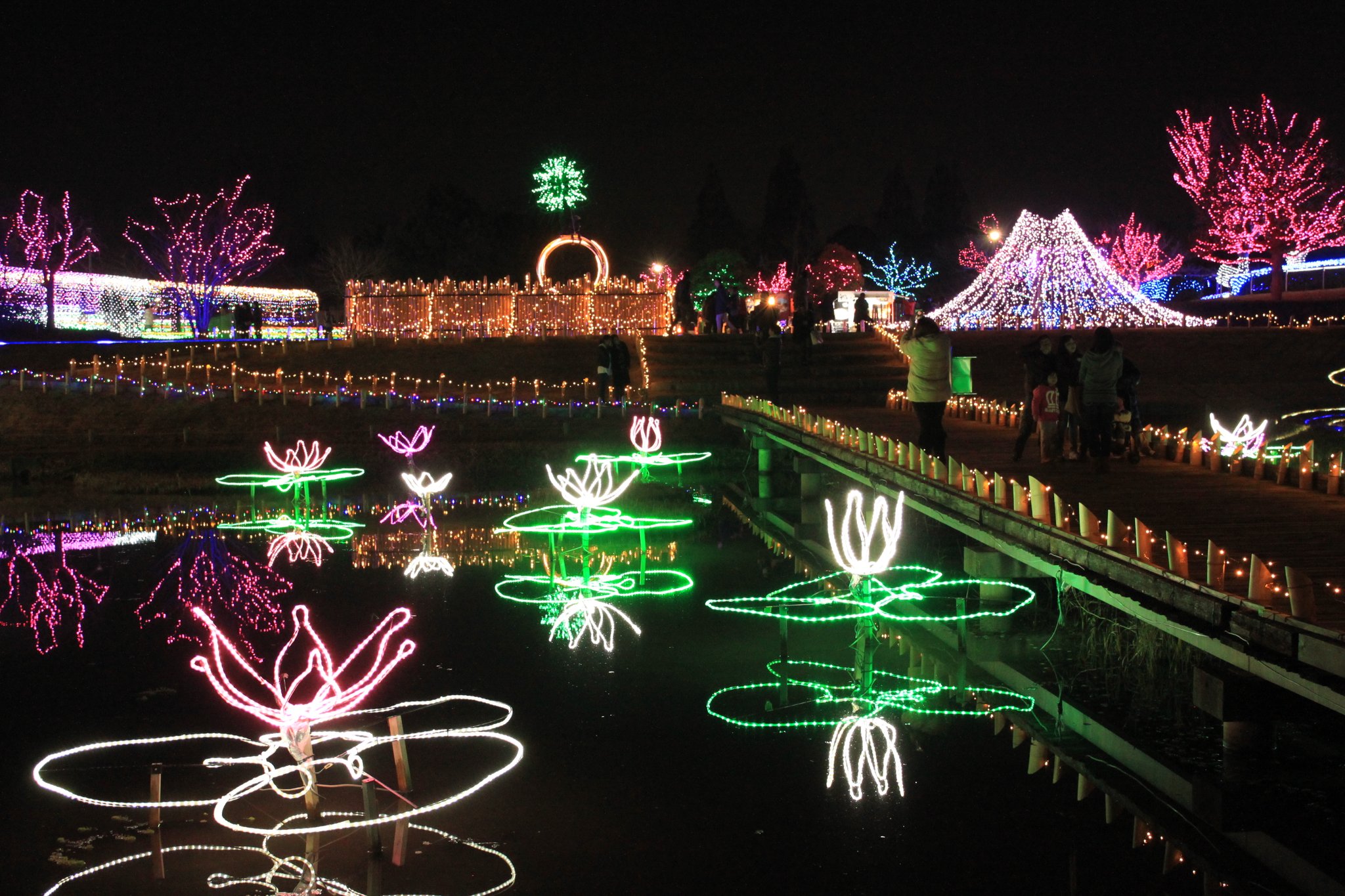 桜並木の道 水彩画 2023年額装済み(YRP公園) 桜並木の道 水彩画