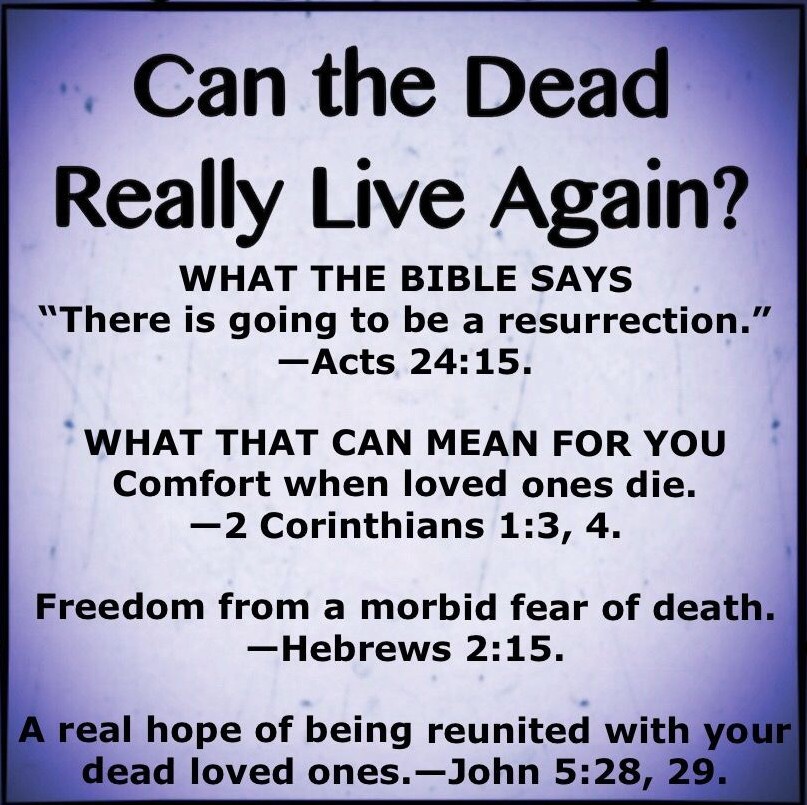 LLaureigh's tweet photo. The Resurrection.. Visit https://t.co/CGw7CsffnM https://t.co/e41plI1rwI