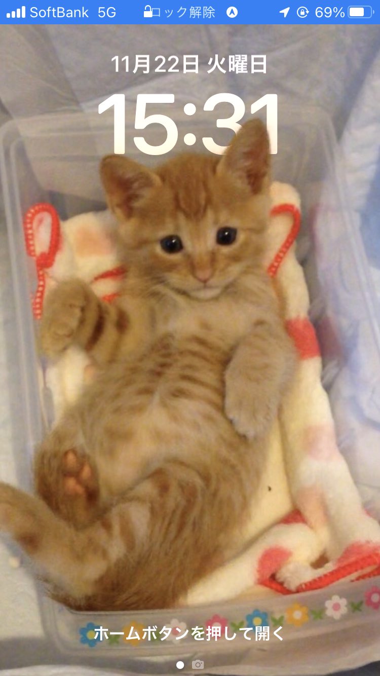 松原 Matsuharajun Twitter