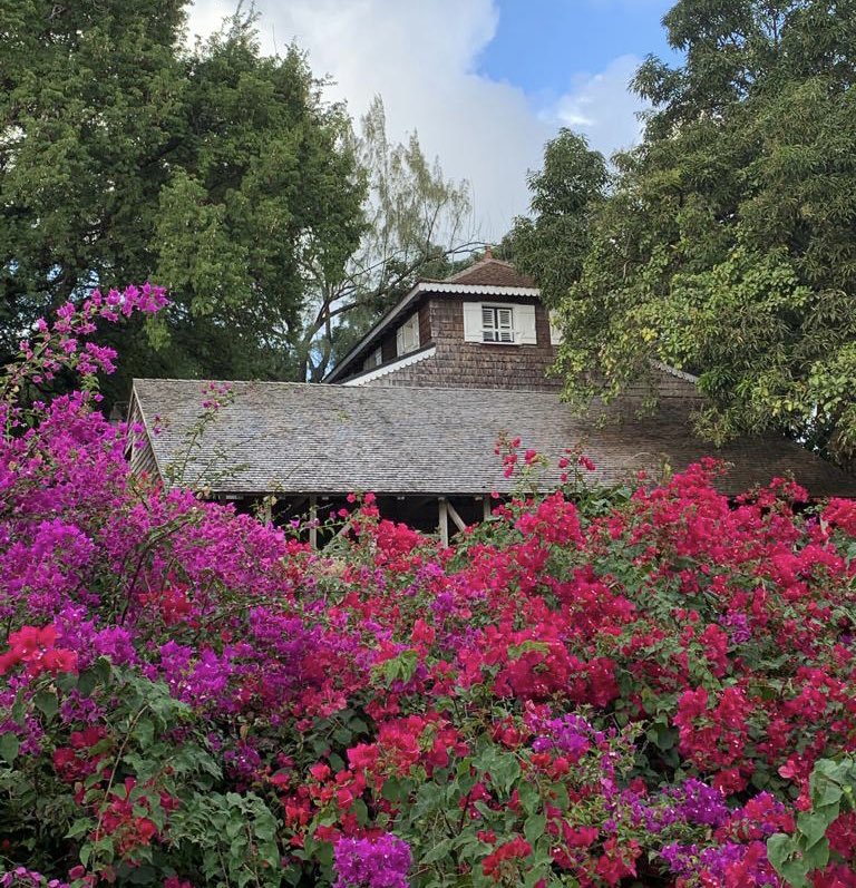 patricebegay's tweet image. Fédérons tous les talents d’Outre-mer pour son dynamisme économique durable. L’Ile aux fleurs à l’honneur du #Bigtour #Martinique 25 &amp;amp; 26 novembre à #Madiana J-3