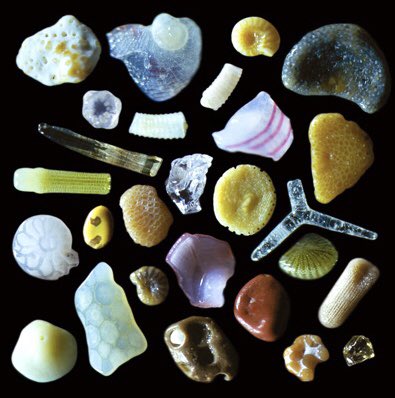 microscopic image of sand grains from a beach in maui, hawaii