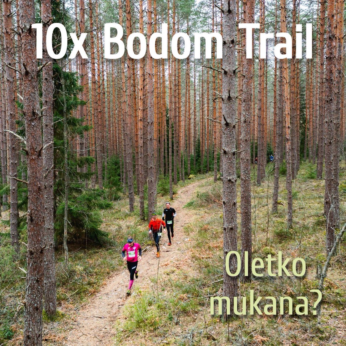 Bodom Trail tweet media