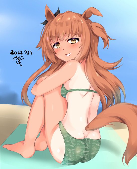 この2枚です
ランキングに載った時、Twitterで
ウマシコ警察からメッセージもらったので、心当たりはありますが
ビキニがアウトなのか、日焼けあとがアウトなのか…? 