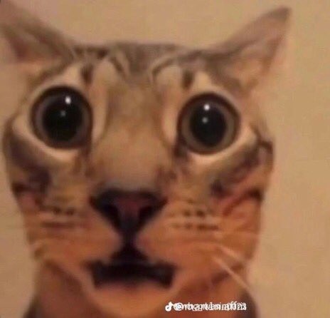Weeeweweek's tweet photo. @Russian_Spyy @MyUsernamesThis @KreekCraft @RobloxBattles you really think this is real https://t.co/x067fbRoGS