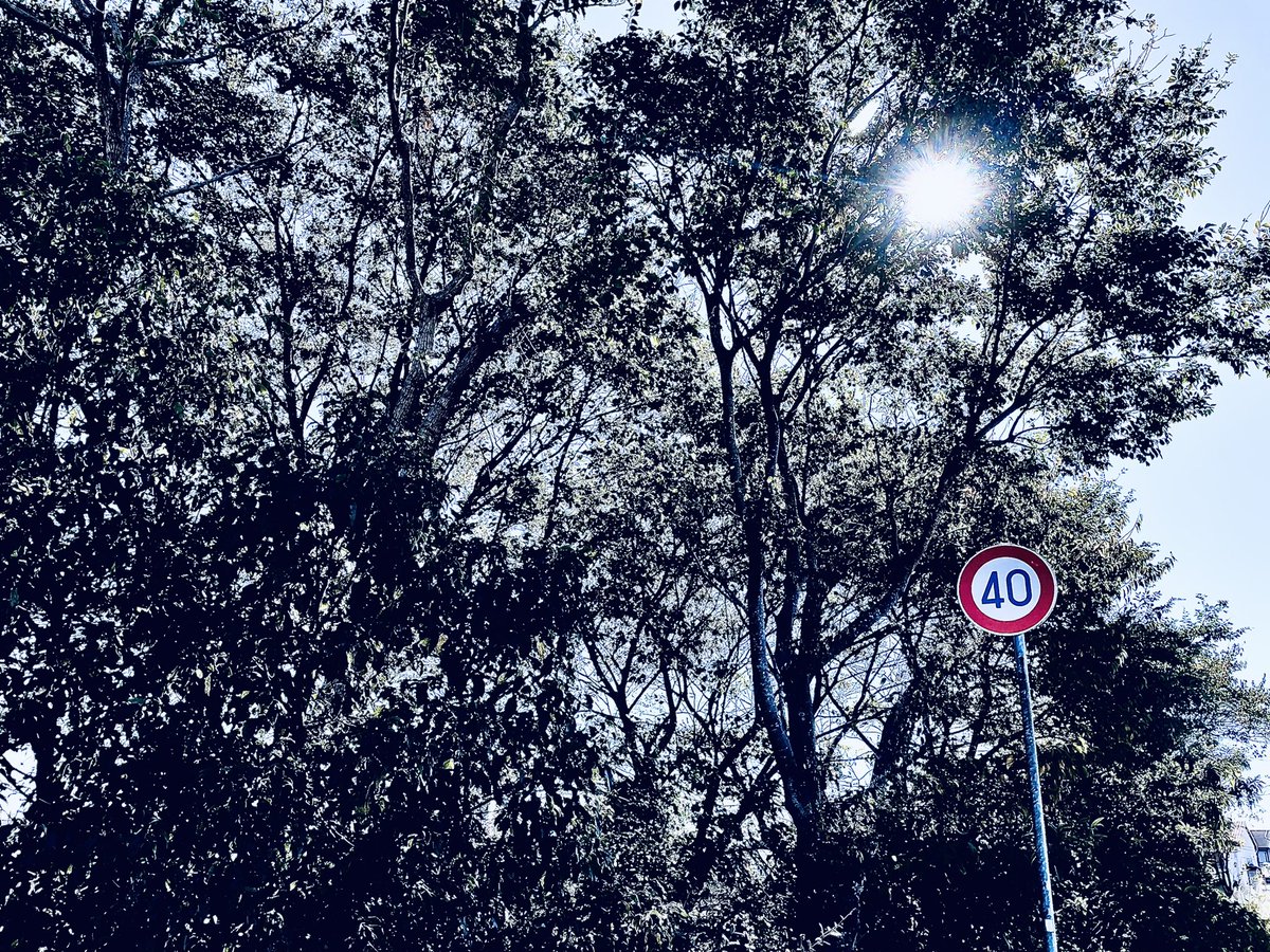 machinegunbilly's tweet photo. #thislight
今日を呪おう。一か八かでろくでもなかった日のことなんて、呪いの言葉で封じて終わろう。
#写真 https://t.co/dd0ZCsCzP3