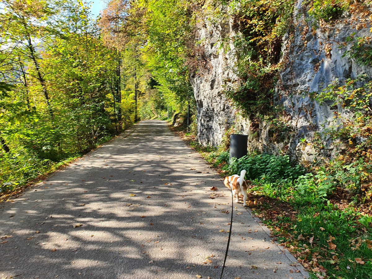 Good morning from Romania #TravelBlogTuesday is back!  Me nd Henry have the privilege of guest hosting this week for 
<a href="/carpediemeire/">John @CarpeDiemEire</a>. So tag friends, share, read, and support other amazing bloggers!

My Post this week is about Lake Beld in Slovenia. rjontour.com/lake-bled-slov…