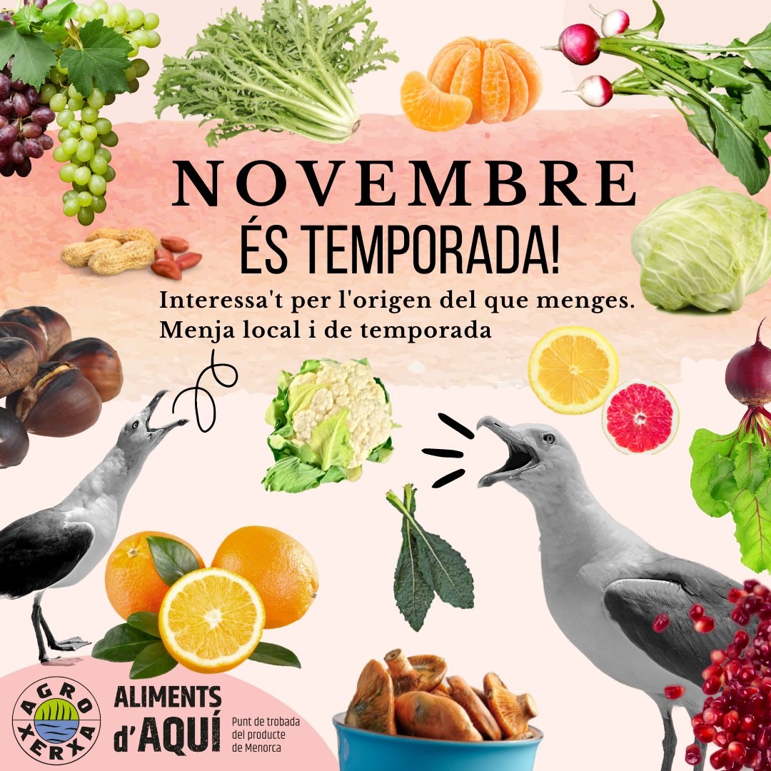 agroxerxa's tweet photo. 🙃 Novembre és temporada!
🧐 Interessa't per l'origen del que menges.
🌰 Menja local i de temporada.
https://t.co/yaIZnmYHMQ
#agroxerxa #temporada #novembre #menorca #km0 #producte #tardor #productelocal #proximitat #alimentsdaquimenorca #menjamlocal #kilòmetro0 #sostenibilitat https://t.co/xscSnjlBEX