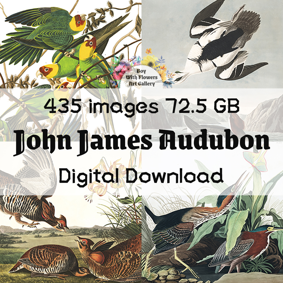 A collection of 435 high-resolution digital images of John James Audubon
▶️boywithflower.gumroad.com/l/vgeed
▶️boywithflowers.com/product/john-j…
▶️patreon.com/posts/64460044

Get more digital paintings.
boywithflower.gumroad.com
boywithflowers.com
patreon.com/boy_with_flowe…

#johnjamesaudubon #art