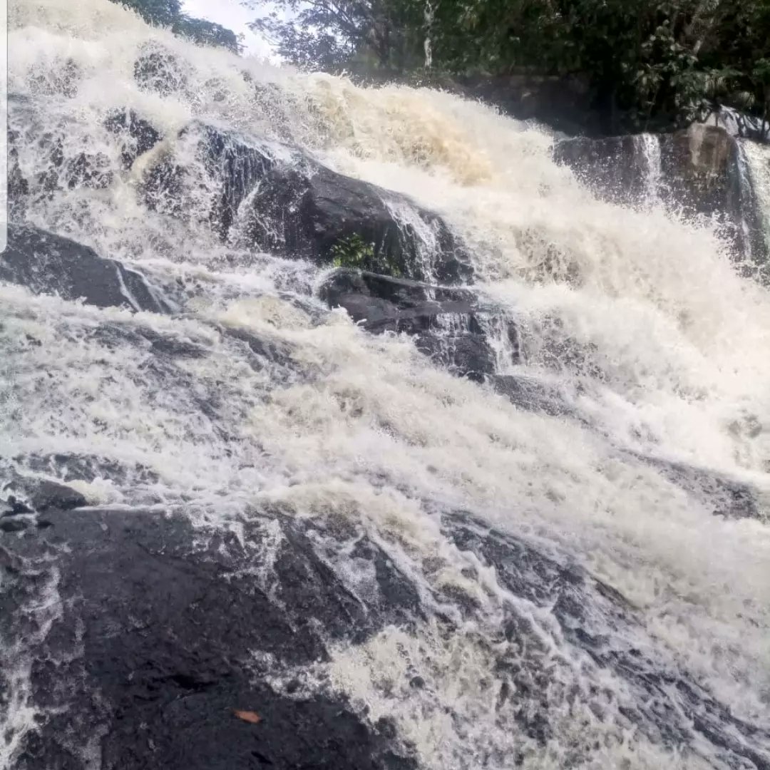 Kpatawee Waterfalls tweet media