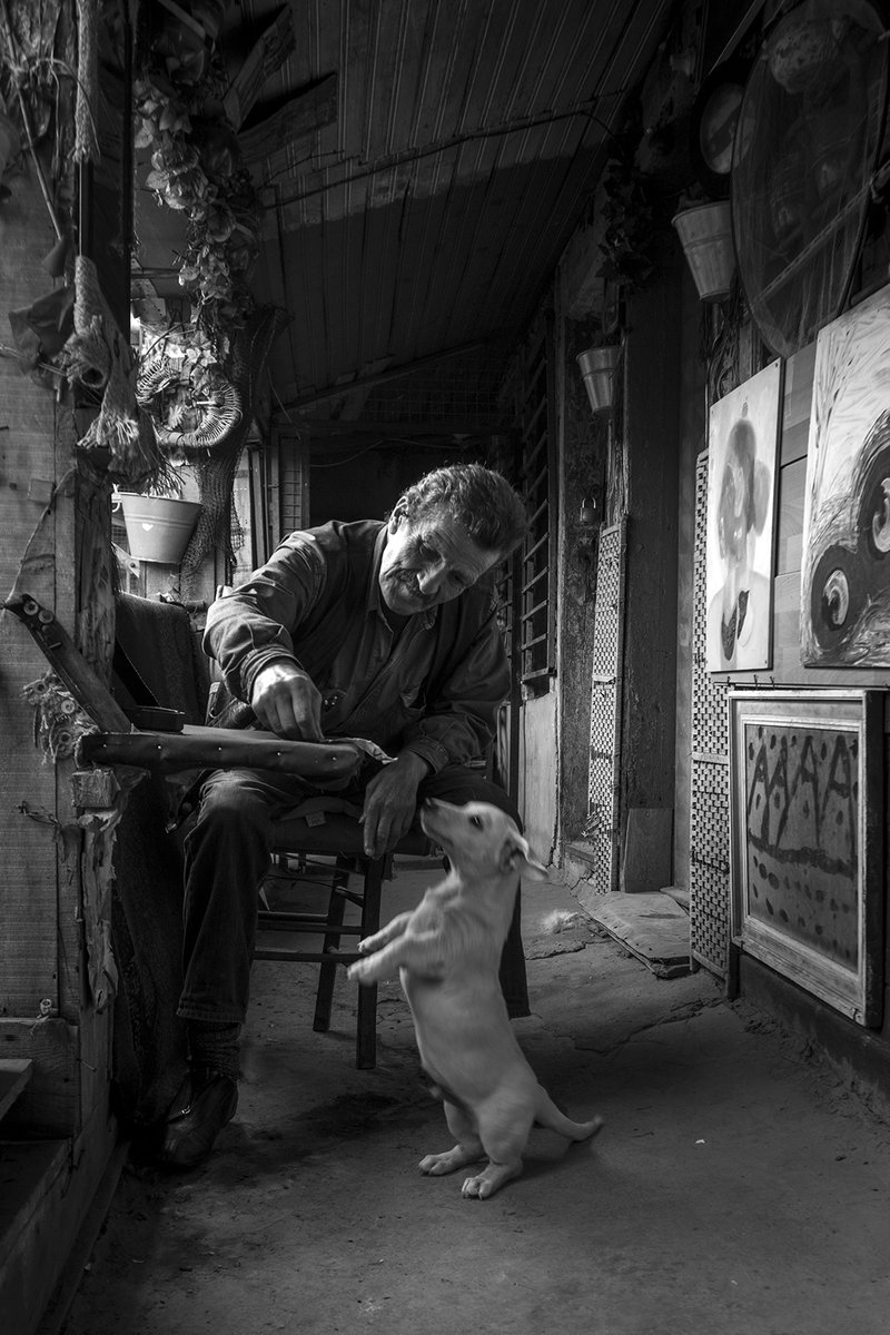 HalukAlp tweet media