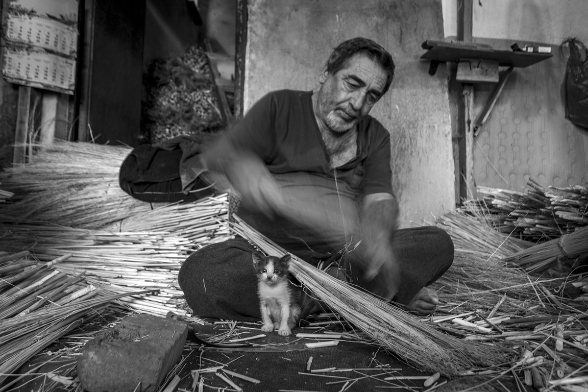 HalukAlp tweet media