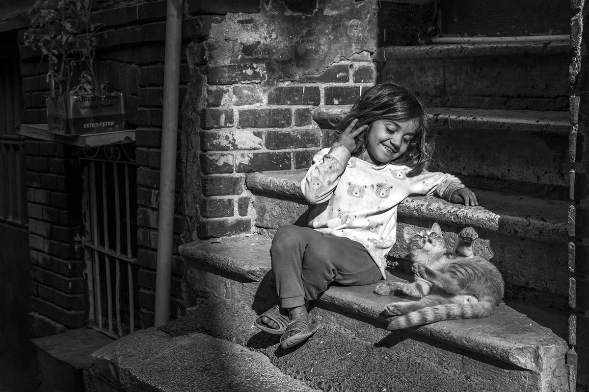 HalukAlp tweet media